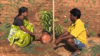 Chitradurga_Pot irrigation