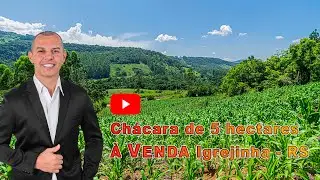 Chácara de 5 hectares com Vista Panorâmica à VENDA Igrejinha - RS