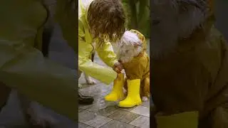 Playful Pet