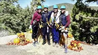 Action Zipline Pumpkin Smash