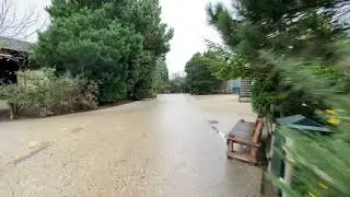 Het is opnieuw stil in Diergaarde Blijdorp Rotterdam