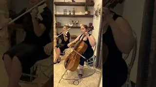 Duo violin and cello #wedding #miamimusiciansforevents  #cello