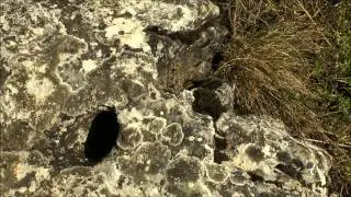 Slovenský kras