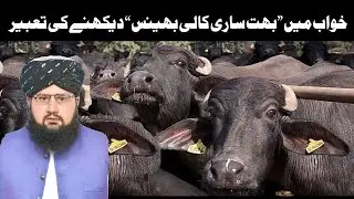 Khwab ki tabeer in hindi | Khwab mein bhains dekhna | buffalo dream meaning | خواب میں بھینس دیکھنا