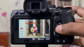 Why Pro Photographers Prefer Single Shot Mode (Most of the Time)