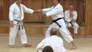 Kagawa-sensei explains 2 parts of kata Jion #jion #karate #kata #shotokan