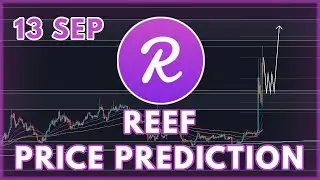 REEF BULLRUN UPDATE! | REEF PRICE PREDICTION & ANALYSIS FOR 2022!