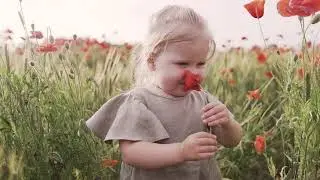 Delicate, Beautiful Music! Happy moments...   🌹🌹🌹 The scent of summer...