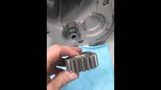vid 6