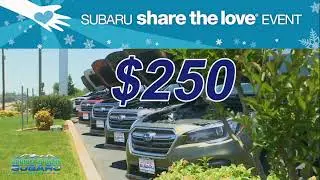 Shingle Springs Subaru | Exclusive Deals On New Vehicle | Share The Love Event
