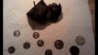 My first (real) metal detecting experience!
