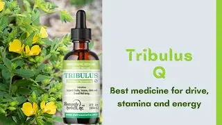 Tribulus Terrestris Mother Tincture: Drive Energy Levels | boost libido | stamina | vitality