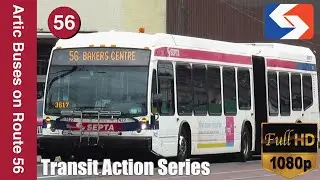 North Philadelphia, PA: NovaBus Articulated Buses Debut on Route 56 - SEPTA TrAcSe 2019