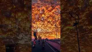 Chasing Gold Vehicles on a Golden Road #SunsetDrive #NatureBeauty #GoldenHour #RoadTrip #Travel
