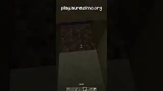 Nothing to see here #pixelmon #pixelmonserver
