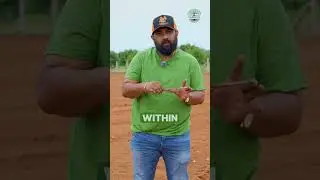 Want bigger returns from your groundnut crop?