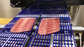 Pujolas   PF 3D Backbacon   sense presentacio