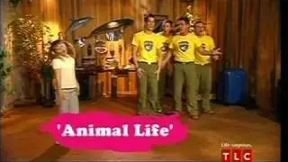 Bindi Irwin 