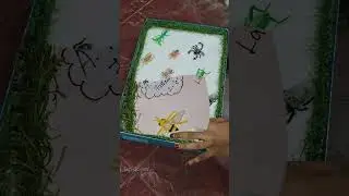 Insect box for school project 🐞🐛🪳#projectwork #schoolproject #insectsbox #bugbox