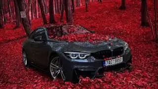 SAINt JHN-ROSES(imanbek remix)