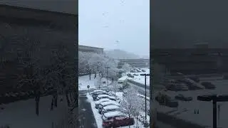 #snowfall #newjersey #usa #newjerseylife