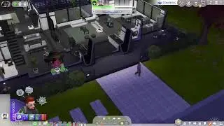 SIMS NEO-X
