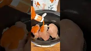 Crockpot Cranberry French Onion Chicken (Easy & Unexpected!)
