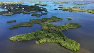 Ozello, Florida in 4K