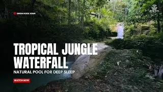 Green Noise ASMR | Tropical Jungle Waterfall & Natural Pool for Deep Sleep