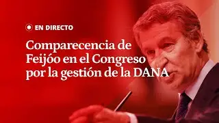EN DIRECTO | Comparecencia de Feijóo en el CONGRESO por la gestión de la DANA y Carlos Mazón