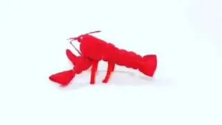 Washagami Lobster