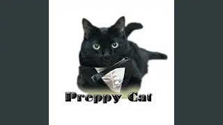 Preppy Cat