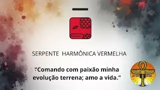 💙🇧🇷🌎 #608 - SERPENTE HARM&Ocirc;NICA VERMELHA 