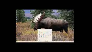 [POSSIBLE FIX] Black screen problems with Nvidia graphics card [2025]