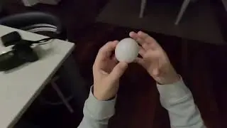egg experiment