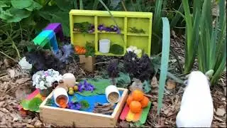 Guinea Pig Picnic