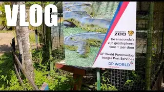 VLOG - Na lange tijd de Paramaribo Zoo bezocht