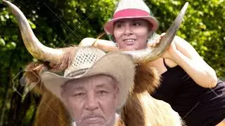 El Toro Sele Bajo la Carga ya no complace a Nohemi por ese ella se quiere ir