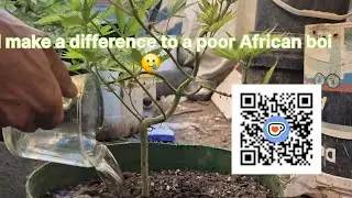 Karoo Outdoor GRow Low Stress Training Only..  2025