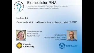 Case Study: Which exRNA carriers in plasma contain Y-RNA? - Esther Nolte-'t Hoen & Tom Driedonks