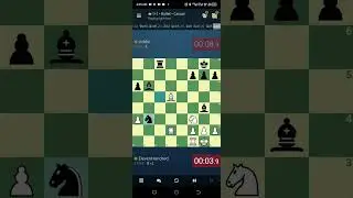Viddle 0 vs 1 ElevenHundred and the mosquito 