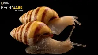 National Geographic Photographer, Joel Sartore, on Managing Invasive Species