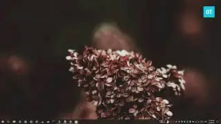 How to dismiss Windows 10 notifications with a keyboard shortcut