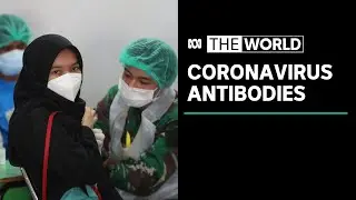 Almost half of Jakarta residents have antibodies against COVID-19, signaling huge spread | The World