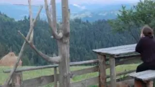 NA BANI - Wg&oacute;rywstąpienie