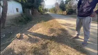 Wanadi thakhibane u(tree) amagi belu khngdabasingna yanthakpikhre