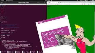 I made a web server In Go