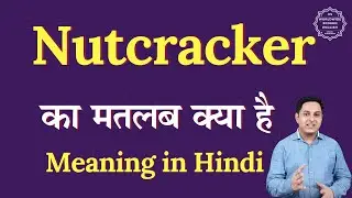 Nutcracker meaning in Hindi | Nutcracker ka matlab kya hota hai | Spoken English