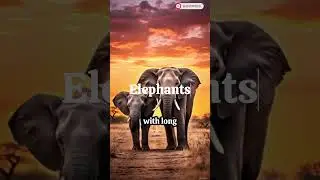 Top 10 Most Intelligent Animals in the World (You&rsquo;ll Be Shocked!)