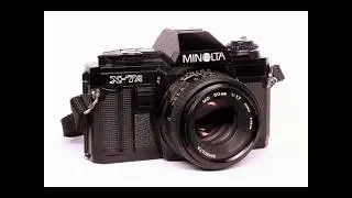Top 4 favorite cameras